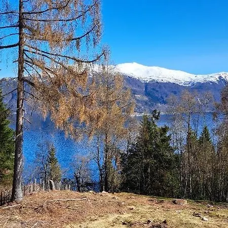 Vesletun