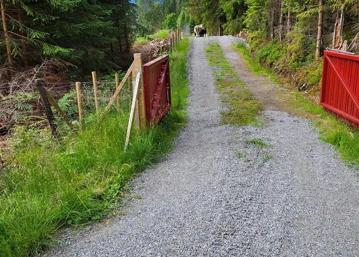 Casa de Férias Vesletun Balestrand